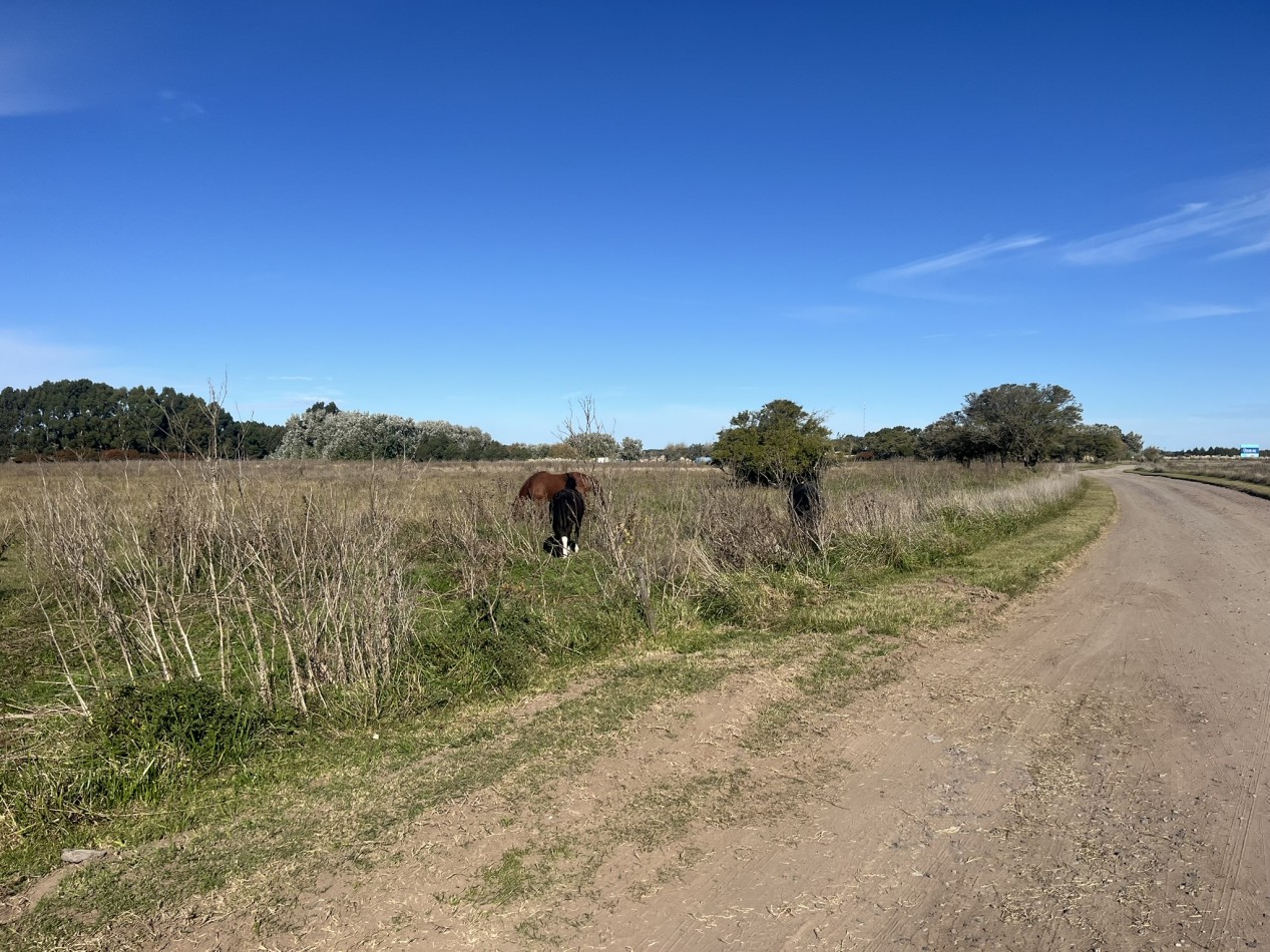 EN VENTA - PINAMAR - CHACRA EN BARRIO LAGUNA EL ROSARIO 8000m2
