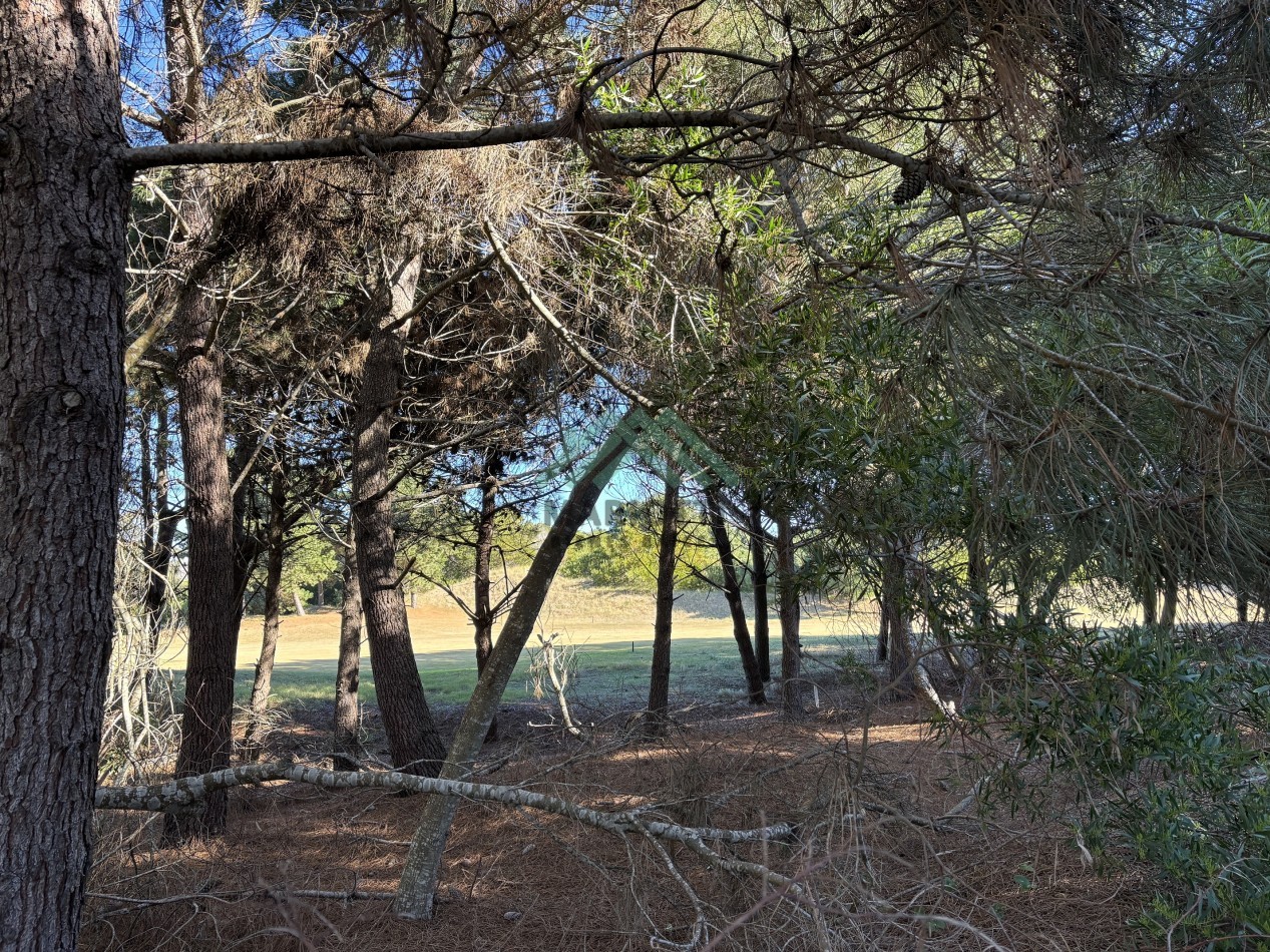 EN VENTA - COSTA ESMERALDA - LOTE BARRIO GOLF 2 - 1.530M2 CON FONDO DE 41M LINEALES DE VISTA AL GOLF