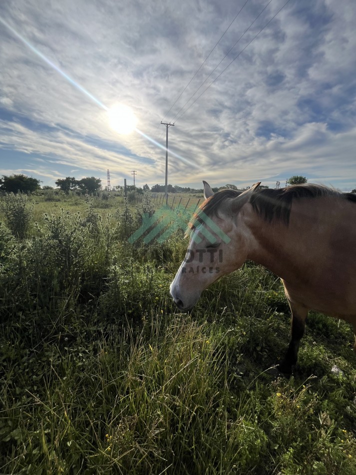 EN VENTA - GENERAL MADARIAGA - LOTE 3000M2 CON FRENTE A LA RUTA 74 